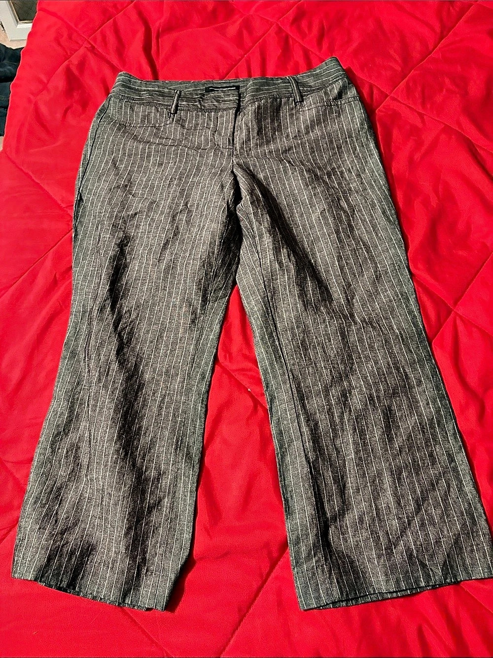Express Design Studio Editor Pinstripe Pants Flare Pants Size 4